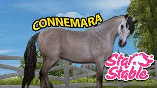 Miniature : ACHAT DU CONNEMARA | Star Stable - SSO