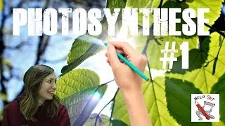 Miniature : Photosynthèse - Partie 1 #TerminaleS #SpéSVT