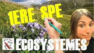 Miniature : Les Ecosystèmes #1èrespéSVT #écologie