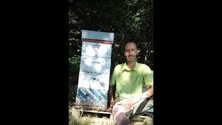 Miniature : Des ABEILLES DOUCES comme le MIEL !!