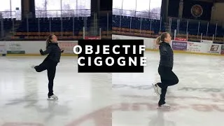 Miniature : Objectif : la cigogne
