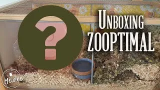 Miniature : UNBOXING hamsters avec ZOOPTIMAL! Et une surprise de taille!