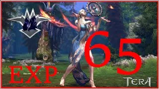 Miniature : Up facilement 65 plusieurs perso Tera