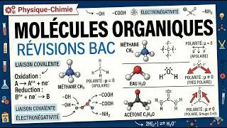 Miniature : Cours Terminale | BAC – Structure et Propriétés
