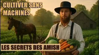Miniature : Comment les Amish cultivent sans machines ni produits chimiques