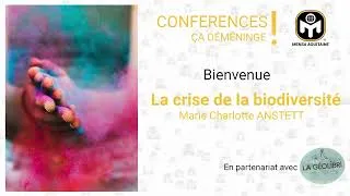 Miniature : La crise de la biodiversité   Marie Charlotee ANSTETT