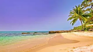 Miniature : Calme et respiration 🌸 détente musicale à la plage 🌸