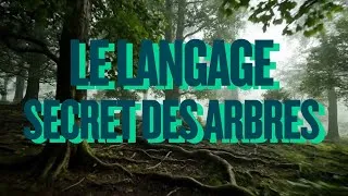 Miniature : Le Langage Secret des Arbres – Une immersion poétique au cœur du vivant.