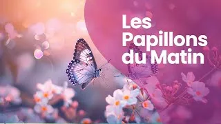 Miniature : Les Papillons du Matin | Vidéo Relaxante Nature & Fleurs | Documentaire immersif