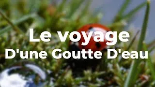 Miniature : Le Voyage d’une Goutte d’Eau – Documentaire Relaxant sur la Beauté de la Nature
