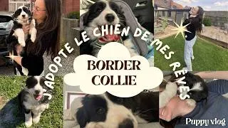 Miniature : J'ADOPTE MON BORDER COLLIE 🌋🐶 (puppy vlog) #bordercollie