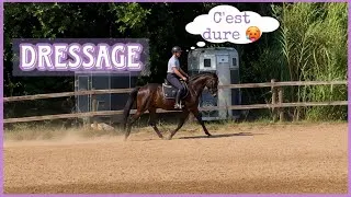Miniature : COURS DE DRESSAGE - cessions au galop ! Ce cheval est génial ❤️