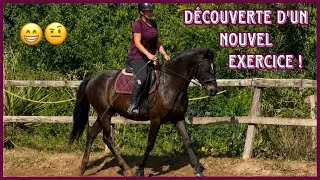 Miniature : Cours de dressage avec un NOUVEAU cheval - c’était pas facile 
