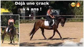 Miniature : J’ai acheté une future crack sans le savoir ! 