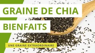 Miniature : Graines de chia : bienfaits, vertus et propriétés
