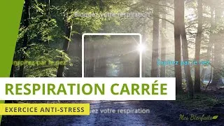 Miniature : Respiration carrée : exercice de respiration en carré (5 min) | Sama Vritti (Pranayama)