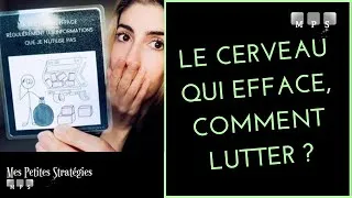 Miniature : Le cerveau qui efface : l'importance de RÉVISER SES BASES