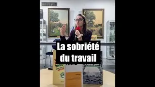 Miniature : Qu'est-ce que la sobriété du travail ? Podcast Céline - Alexis Nicolas