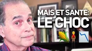 Miniature : #1429 Maïs génétiquement modifié : attention !
