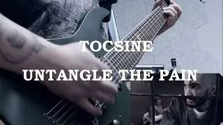 Miniature : Tocsine - Untangle the pain ( Guitar Cover )