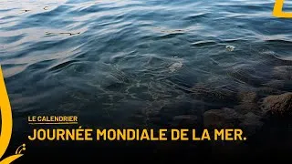 Miniature : LE CALENDRIER  – JOURNÉE MONDIALE DE LA MER  | Metamorphosis Africa