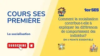 Miniature : Comment la socialisation contribue-t-elle à expliquer le comportement des individus ?