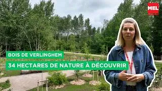 Miniature : Le bois de Verlinghem, nouveau poumon vert de la métropole