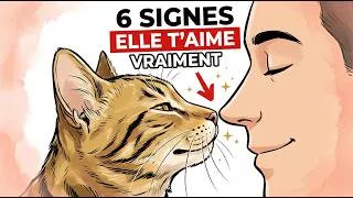 Miniature : 6 signes que votre chat vous considère vraiment comme sa famille
