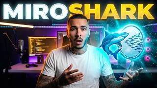 Miniature : MiroShark EXPLOSE MiroFish (test en direct)