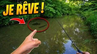 Miniature : Cette petite rivière secrète nous réservait d'énormes surprises! (Pêche au leurre)