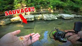 Miniature : Explorer et pêcher une petite rivière à la recherche de truites!(Leurre et bouchon)