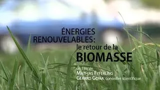 Miniature : Énergies renouvelables : le retour de la biomasse