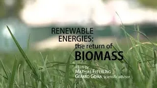 Miniature : Renewable energies: the return of biomass