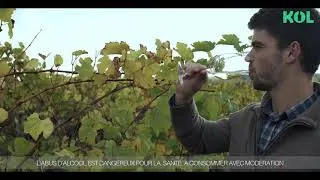 Miniature : Kol - Interview de notre sommelier Meilleur Jeune Ouvrier de France, Quentin Vauléon