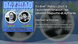 Miniature : Pablo : l’autodétermination le cas des peuples Mapuche et Aymaras - Dazibao enBref