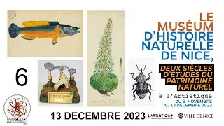 Miniature : Les collections de l’école naturaliste niçoise : une mémoire du passé pour des recherches actuelles