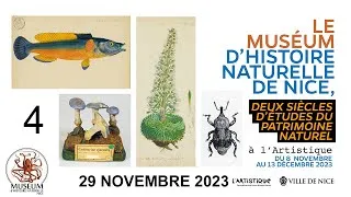 Miniature : L’oeuvre géologique d’Antoine Risso
