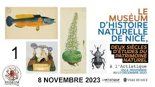 Miniature : Les muséums et les sciences naturalistes : des sentinelles en temps de crise de l’environnement