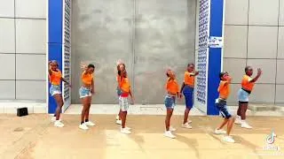Miniature : Ste Milano -les éléphants #fypシ #dance #fypシ #dancerlife #danse #djdream #danse #djdream #viral 