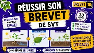 Miniature : SVT - Corrigé du brevet Métropole 2025 - Nutrition des végétaux