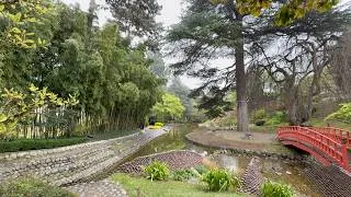 Miniature : Le jardin Japonais du musée Albert Kahn