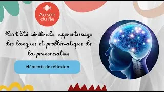 Miniature : Plasticité cérébrale et apprentissage des langues