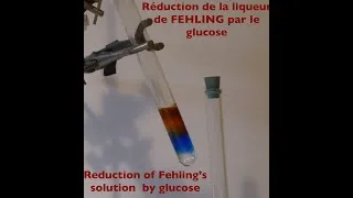 Miniature : Réduction de la liqueur de FEHLING par le glucose. Reduction of Fehling's solution by glucose.