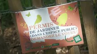 Miniature : LES W D D  MICHOU64 NEWS   26 AVRIL 2024   PAU   POUR ENTOURER NOS PLATES BANDES ET NOS MASSIFS