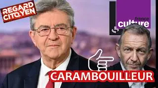 Miniature : MONTAGES FALLACIEUX : MÊME sur FRANCE CULTURE !!! ETEIGNEZ vos RADIOS et TÉLÉS !!📺