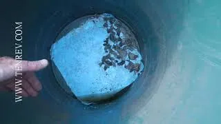 Miniature : Le tonneau de pluie fendu au fond fuit avec le poids de l'eau malgré la rustine.