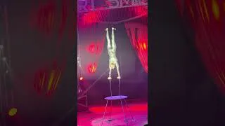 Miniature : Cirque Spectra Art&Smile