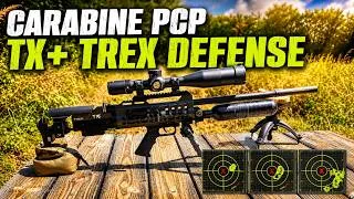 Miniature : La carabine à plombs qui fait rêver !