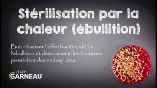 Miniature : Stérilisation par la chaleur (ébullition)