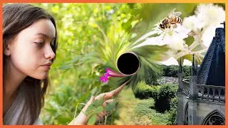 Miniature : 11 hectares de nature bétonnés ?! Jean-Paul Thorez et Louise nous montrent le possible désastre !
